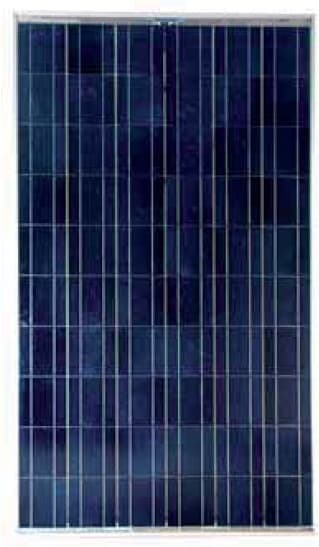 Light 230 Poly
