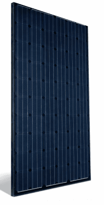 245W