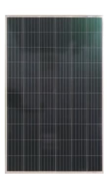 MN265P66