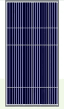 310W