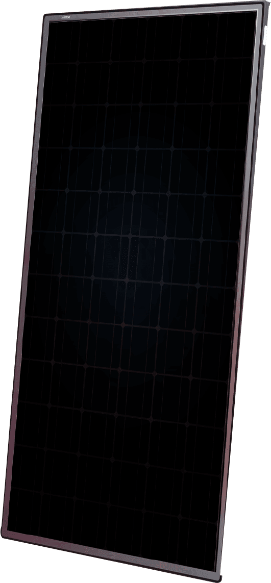 ACton Gorilla N60F_375