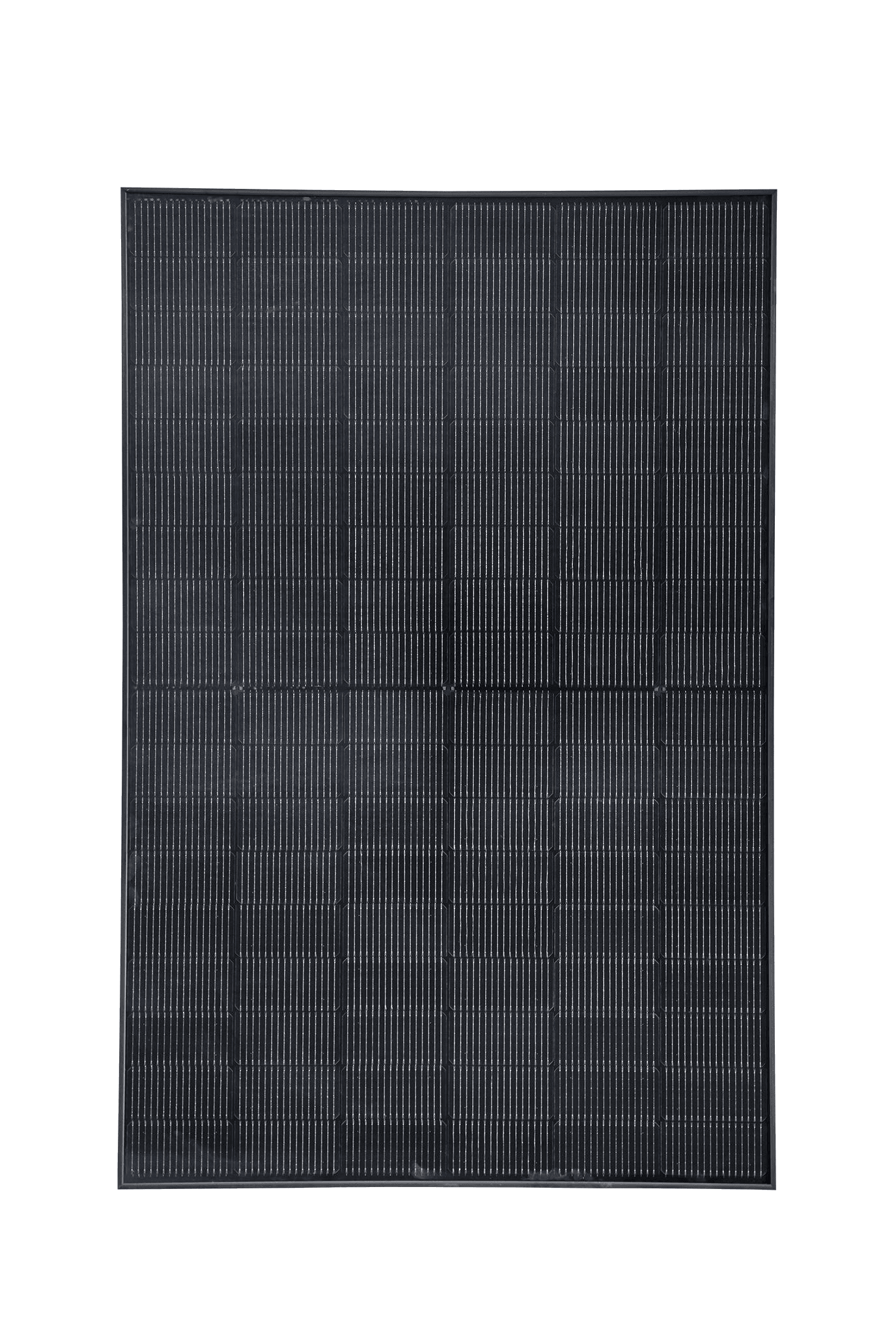 425W
