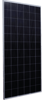 SE 365M