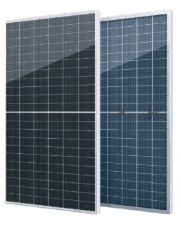 SEG-705-BTC-BG