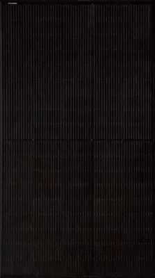 595W
