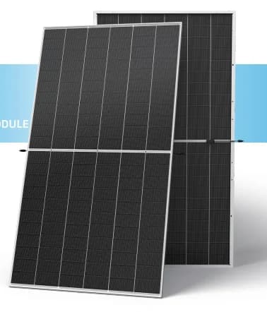 Trina SolarVertex N TSM-NEG21C.20 700-725W