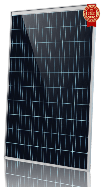 Z20P255C