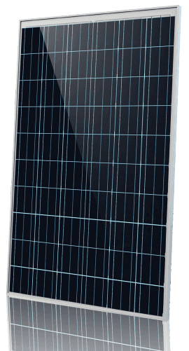 ZA1ZDNY-260P60