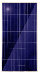 LS 320-72P