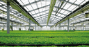 Agricultural Photovoltaic System