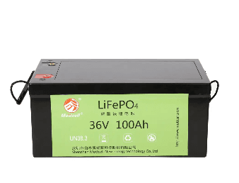 SM-LFP-ACID-36V100Ah-1