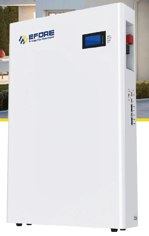 LM PACK-10