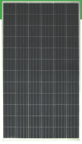 P35 295-315