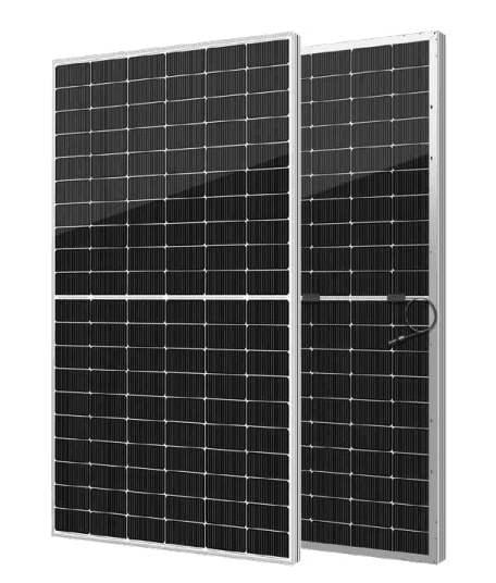 SEG-475-BTB-BG