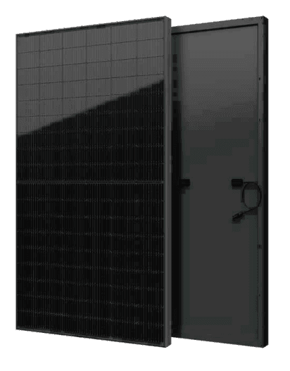 SEG-440-BTD-BG