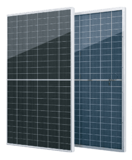 SEG-625-BTC-BG