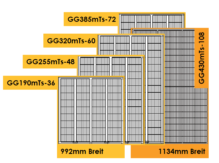 GG385mTs-72 HC BF