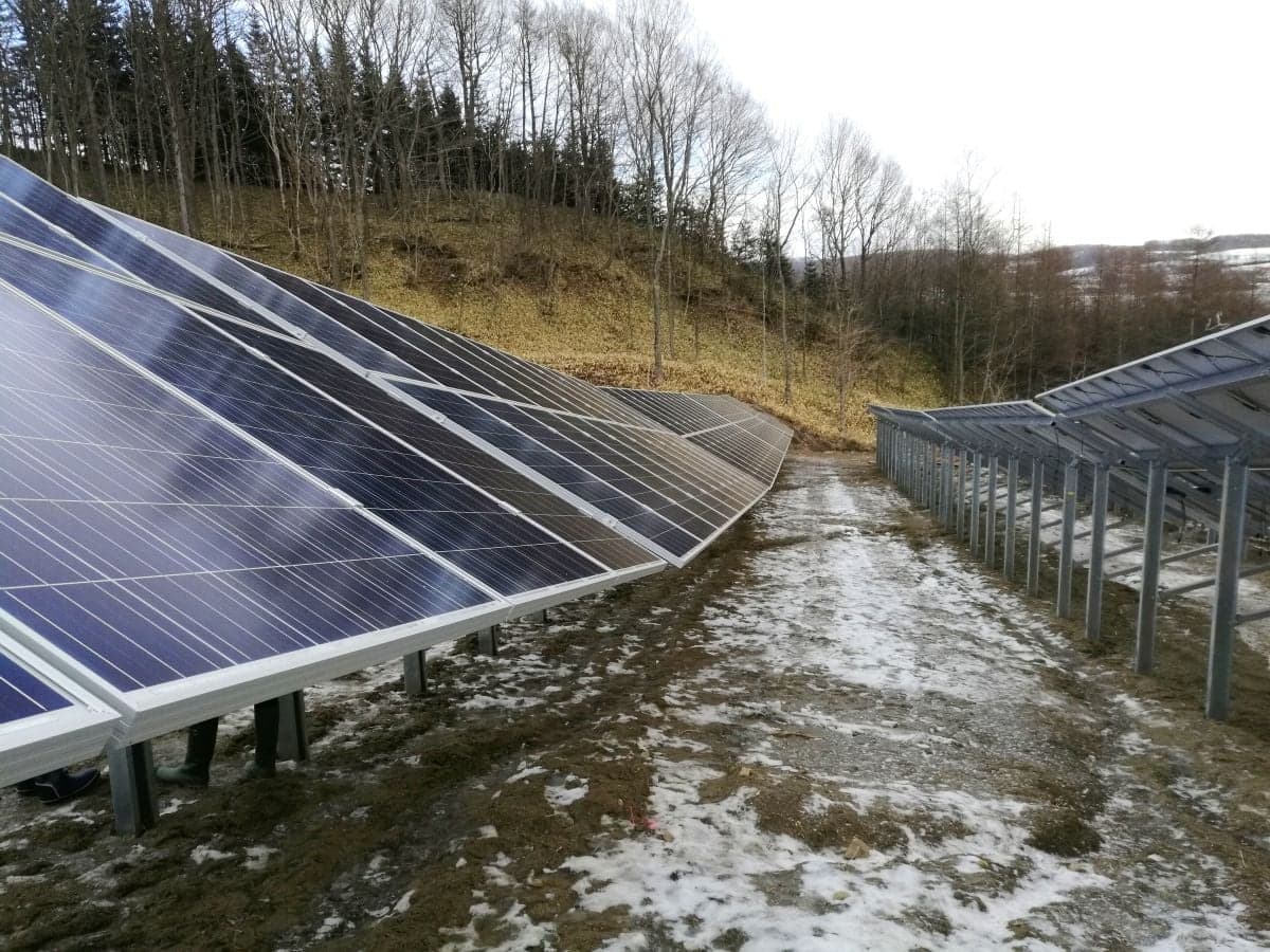 Pile ground mounting system