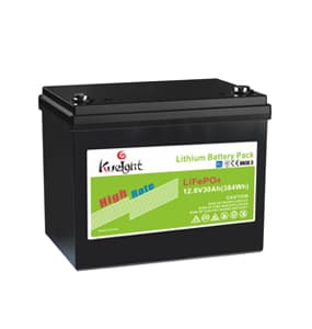 QL12V-30Ah LFP Battery