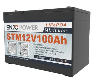 STM12V100-2