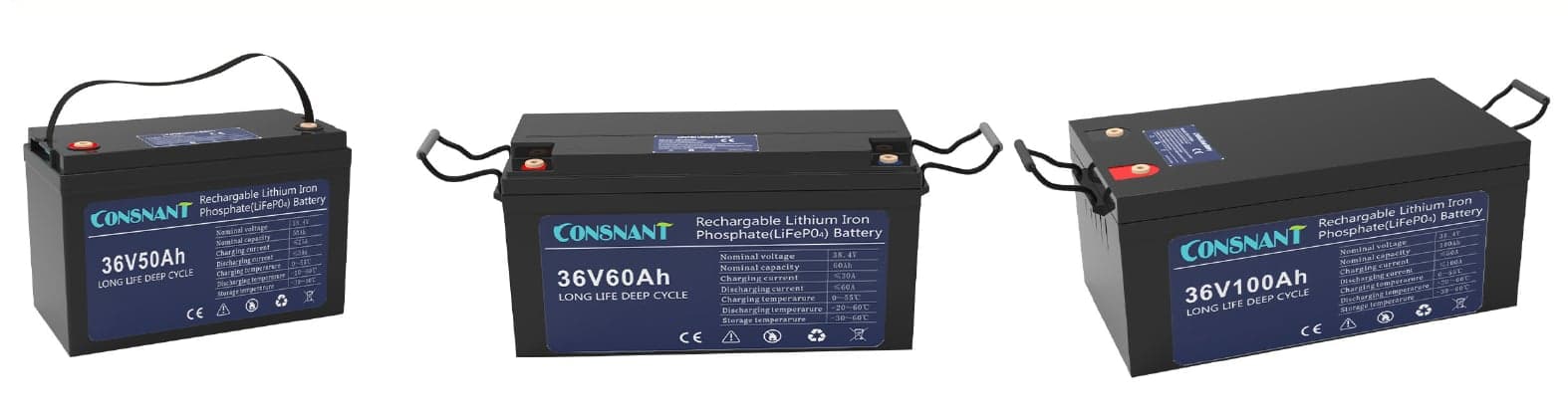 LFP36100