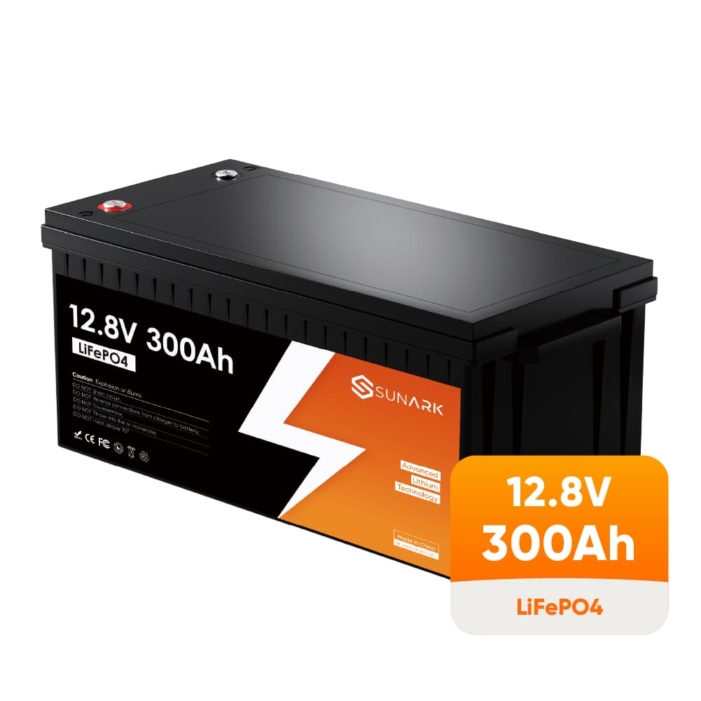 ARK LFP Series 12V 24V Lithium Battery 100AH /2...