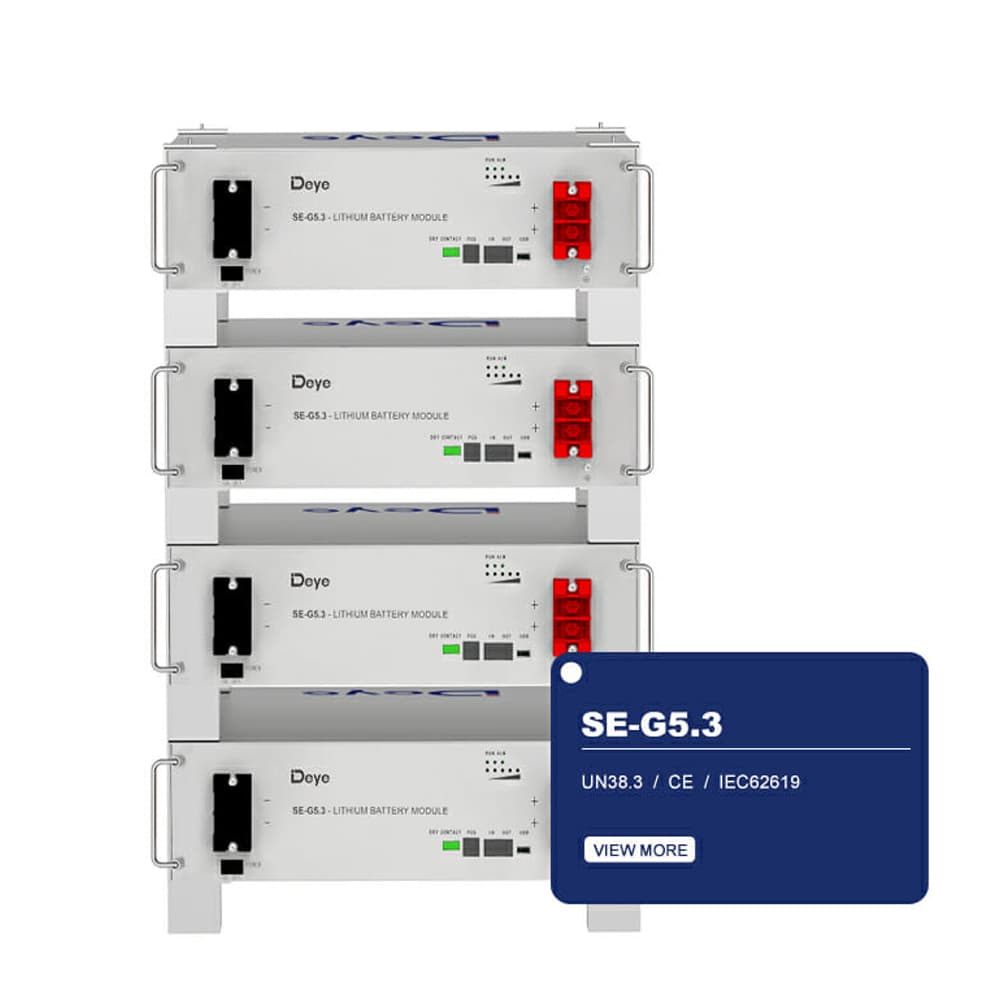 SE-G5.3 51.2V 103Ah 5.32Kwh LiFePO4 Server Rack...