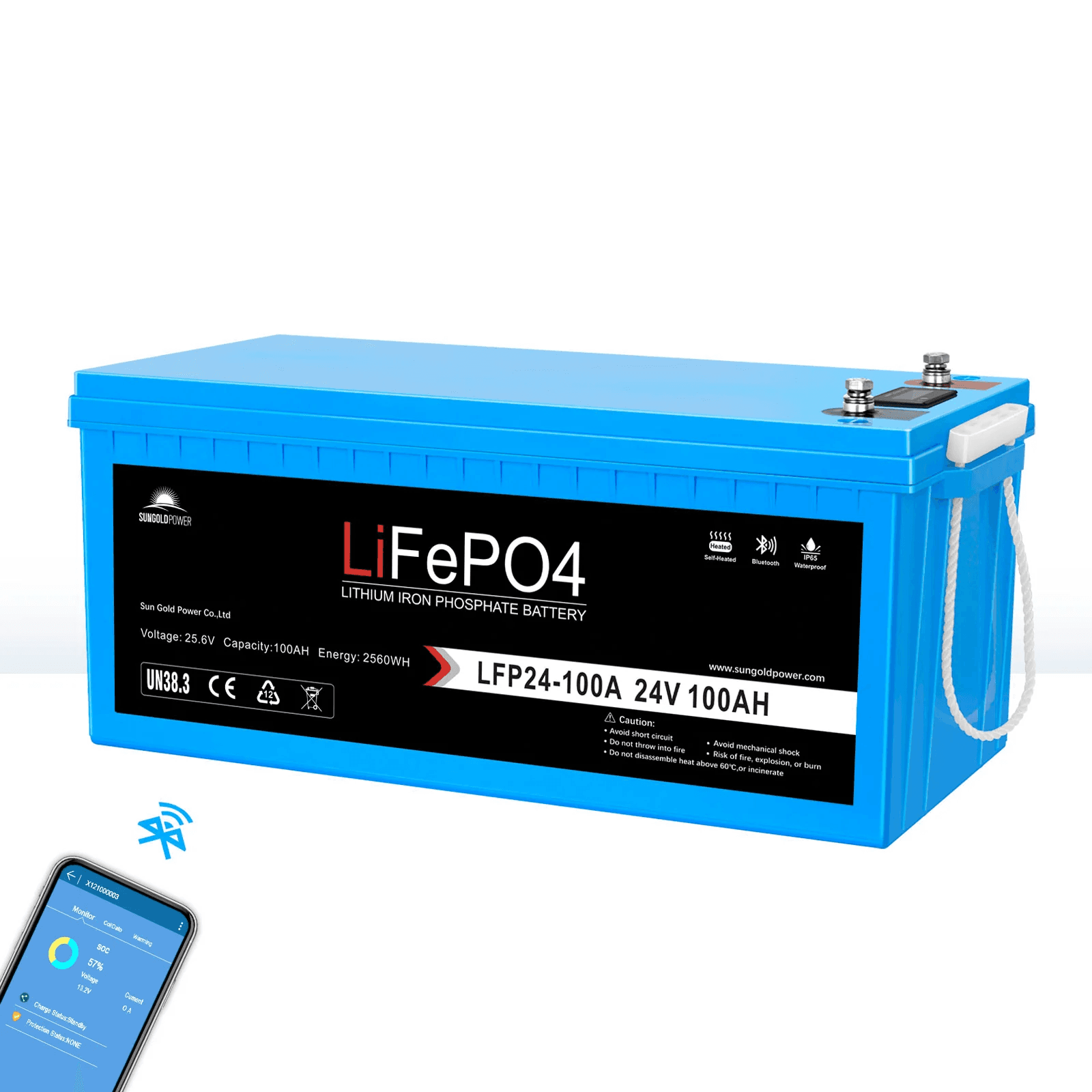 LFP-24V-100A