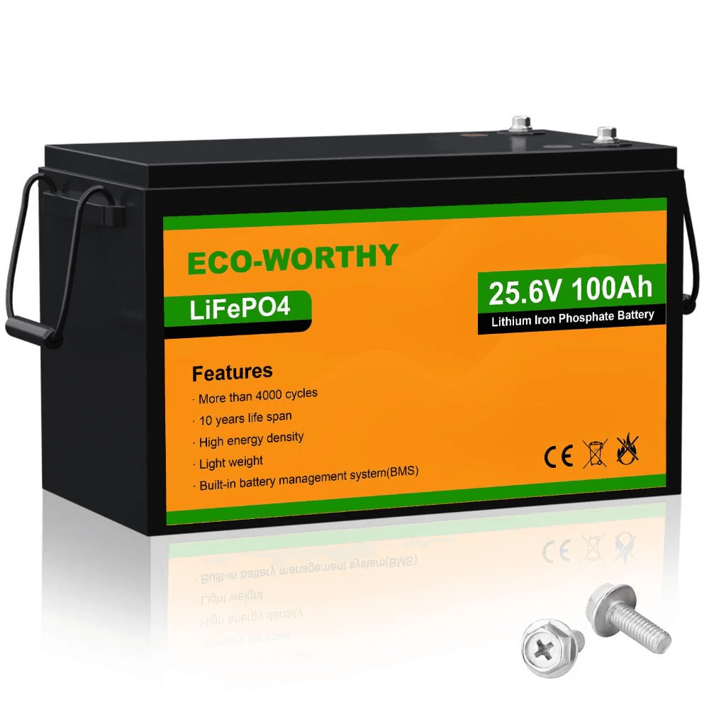 24V 100Ah LiFePO4